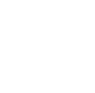 Baojun logo